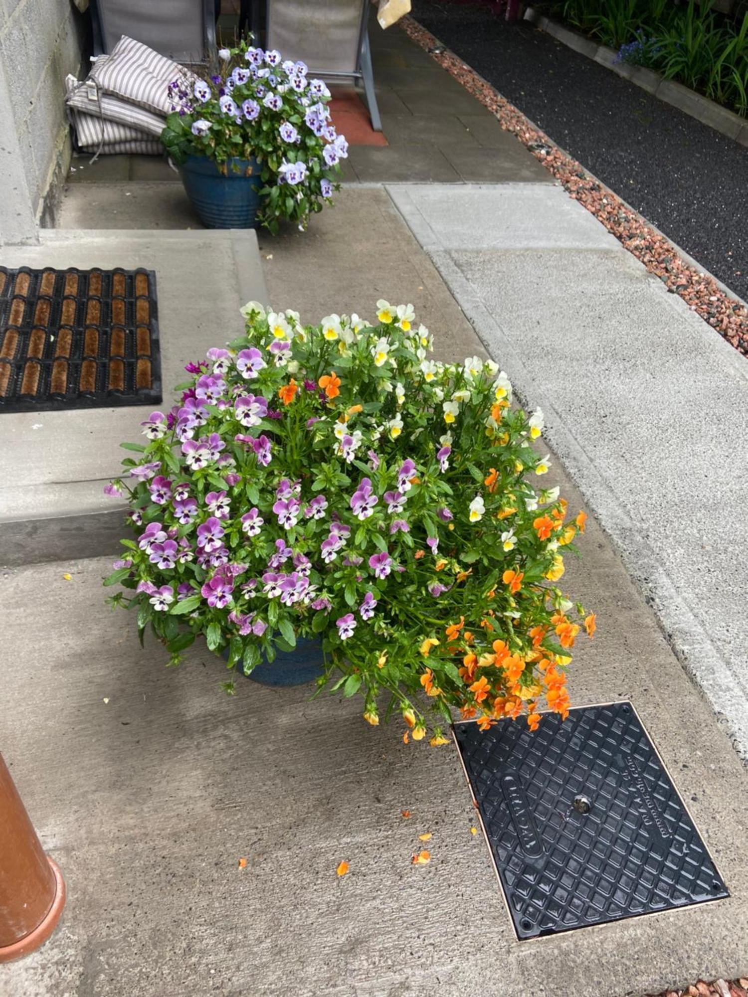 Harrys Place Mullingar Exteriör bild